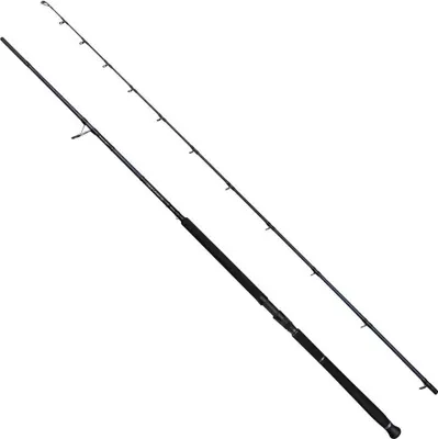 Produktbild von Savage Gear Defiance Sg2 Shore Jig 3.05m 30-100g - Angelrute