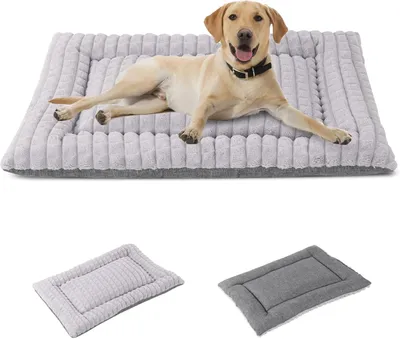 Immagine prodotto di Cuccia per cani e gatti, in morbido peluche, dimensioni 76 x 50 cm, cuscino lavabile per animali domestici
