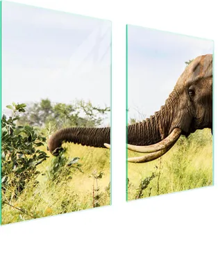Obrázok produktu pre Sklenená ochranná doska do kuchyne 65x52 ELEPHANT