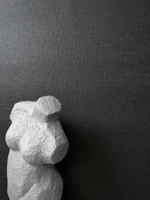 Produktbild von NEWROOM Tapete Schwarz Vliestapete Unifarbe - Unitapete Uni Stoff-Optik Textil Leinen-Optik Modern Struktur
