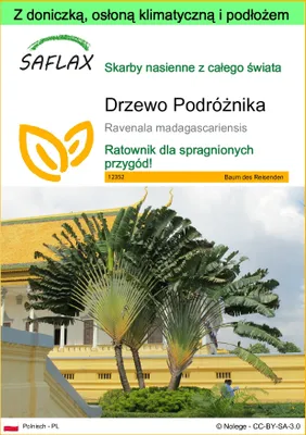 Zdjęcie produktu dla SAFLAX - Garden to go - Drzewo Podróżnika - 8 Nasiona - Z doniczką, pokrywą klimatyczną i podłożem do uprawy - Ravenala madagascariensis