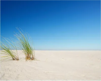 Produktbild von Wallario Poster - Sandstrand unter blauem Himmel, Kunstdruck Größe: 40 x 50 cm