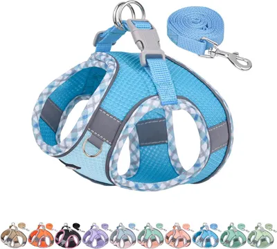 Produktbild von XXS Hundegeschirr und Leine Set, Atmungsaktiv, Reflektierend, Weich und Stabil, Für Kleine Hunde, Blau