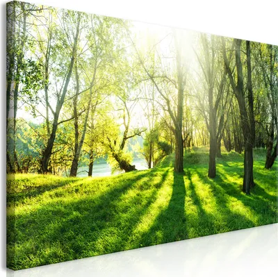 Image de Tableau mural Mega XXXL Arbres 250 x 125 cm Impression artistique au format XXL en une seule pièce à monter soi-même Tableaux sur toile Tableaux modernes Décoration murale DIY Décoration d'intérieur Nature c-B-0053-ak-e