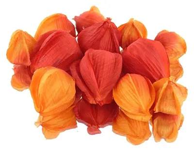 Produktbild von DPI Lampionpflanze - Physalis Früchte Orange Ø 3 bis 5 cm - Kunstblumen