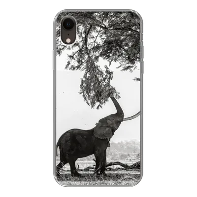 Produktbild von MuchoWow® Handyhülle Schutzhülle Hülle für iPhone XR Elefant - Baum - Tiere - Schwarz und weiß Silikon Softcase Handy Hülle - Schutzdeckel