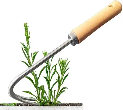 Zdjęcie produktu dla Ibenzoa® - motyka do chwastów wykonana ze stali nierdzewnej z drewnianym uchwytem - solidna motyka ogrodowa do precyzyjnego i skutecznego usuwania chwastów