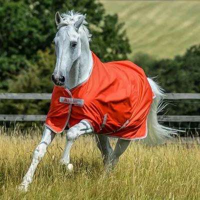 Produktbild von Bucas Freedom Turnout light, Grenadine 165 cm