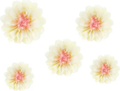 Produktbild von Papierdeko Blumen, creme, 30-20 cm (1 Packung / 5 Stück)