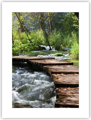 Produktbild von Poster - Poster ohne Rahmen - Park natur grün bäume - 30x40 cm - Wand Bild - Wanddeko - Wandbilder - Kunstposter - Wandposter - Bilder - Kunstdruck - Wanddekoration - Wandbild - P2XPA30x40-0356
