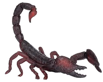 Zdjęcie produktu dla Mojo Fun Emperor Scorpion, 3 lat(a), Wildlife, Czerwony, Brązowy, Czarny, Polichlorek winylu (PVC)