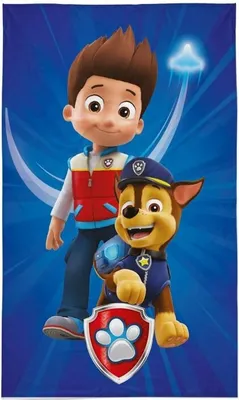 Zdjęcie produktu dla DETEXPOL Ręcznik dziecięcy Paw Patrol Alex i Chase bawełna - frotte, 50/30 cm
