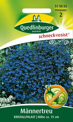 Artikelbild 1 von 'Männertreu Kristallpalast' aus der Kategorie Blumensamen