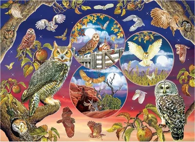 Produktbild von COBBLE HILL Eule Magisches Puzzle 1000 Teile