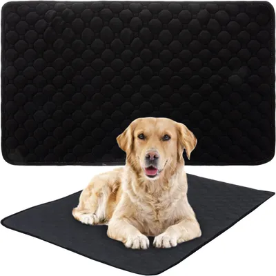 Productafbeelding van Hondentrainingsmat, waterdicht en absorberend, 70 x 50 cm, geschikt voor het zindelijk maken van puppy's