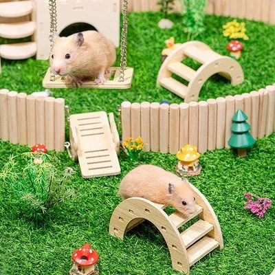 Produktbild von Famanu Hamsterkauwspeelzeug Set - 4-teilig mit Wippe, Brücke und Schaukelsitz