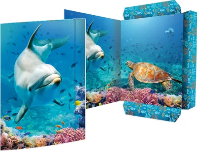 Obrázok produktu pre RNK Verlag 45383 RNK Verlag Výkresový zakladač "Dolphin", kartón, DIN A3