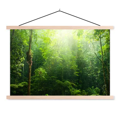 Produktbild von MuchoWow® Textilposter Dschungel - Sonnenlicht - Grün - Mädchen - Kinder - Jungen 120x80 cm mit holzfarbenen Rahmen - Aufhängeset
