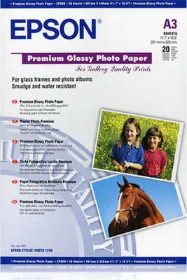 Produktbild von Epson Premium Glossy Photo Paper, DIN A3, 255 g/m², 20 Blatt, Glanz, 255 g/m², A3, Weiß, 20 Blätter, Epson Stylus Office B1100 Epson Stylus Office T1100 Epson Stylus Photo 1290 Epson Stylus Photo...