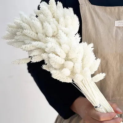 Zdjęcie produktu dla Suszone kwiaty "Edelsteingras", 100 sztuk, kolor biały, wysokość 42 cm