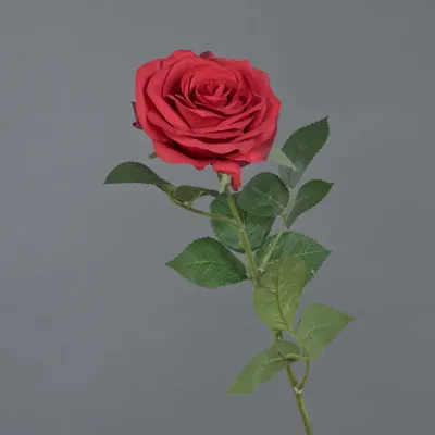 Produktbild von artplants.de Kunstrose Kailin, rot, 65 cm - Künstlicher Blumenzweig