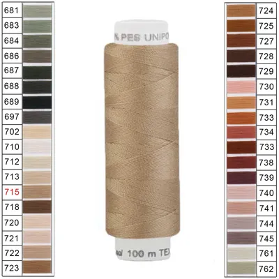 100m / 1 Spule Unipoly 120 TEX14x2 Polyester braunbeige