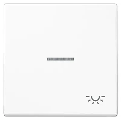 Image de Jung LS 990 KO5 L WW (LS990KO5LWW)