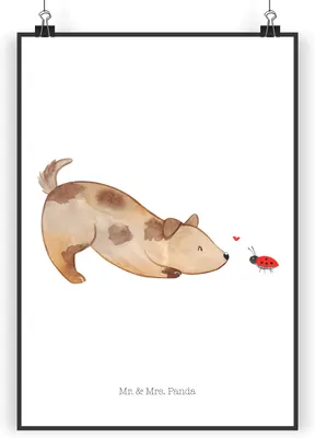 Produktbild von Mr. & Mrs. Panda Bild Hund Marienkäfer DIN A5 - Weiß - Geschenk, Sprüche, drucke, wanddeko, Kunstdruck, Plakat, Achtsam, Mischlinghund, Wandbild, Neugierig