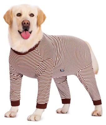 Produktbild von Solidchoice – Hundebody mit Beinen zur Unterstützung der Genesung nach Kastration