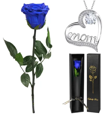 Ewige Rose mit Halskette, 925 Silber, konservierte Blume, Muttertagsgeschenk