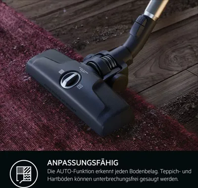 A vacuum cleaner head is shown cleaning a rug and a wooden floor, with text describing its features.