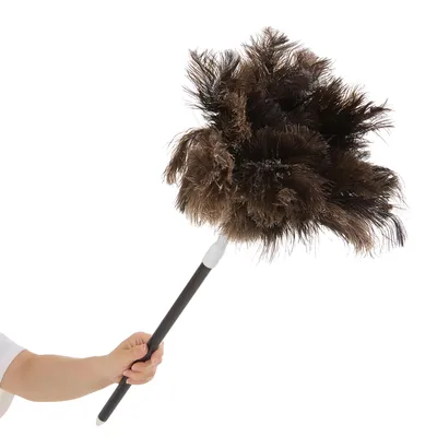 Produktbild von Strauß Staubwedel mit Straußenfedern Ausziehbar bis 110 cm Staubwischer mit Teleskopstiel Staubfänger
