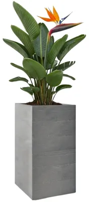 Obrázok produktu pre HowHomely | Kvetináč – obal na kvetináč – sivý – 30 x 30 x 60 cm – kvetinový kvetináč – vzhľad dreva – praktický