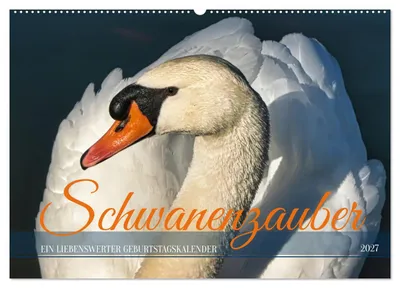 Produktbild von Schwanenzauber (Wandkalender 2027 DIN A2 quer), CALVENDO Monatskalender