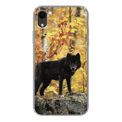 Produktbild von MuchoWow® Handyhülle Schutzhülle Hülle für iPhone XR Wolf - Fels - Baum Silikon Softcase Handy Hülle - Schutzdeckel