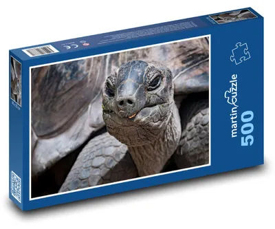 Obrázek produktu pro Puzzle 500 Galapážská obří želva - martinpuzzle