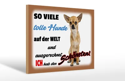 Produktbild von Holzschild Spruch 30x20cm ich hab den schönsten Hund
