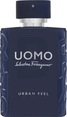 Obrázek produktu pro Salvatore Ferragamo Uomo Urban Feel toaletní voda pro muže 100 ml