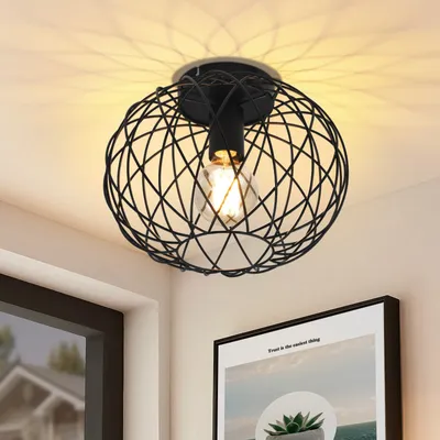 A black wire cage ceiling light fixture with a visible Edison-style bulb, mounted on a white ceiling.