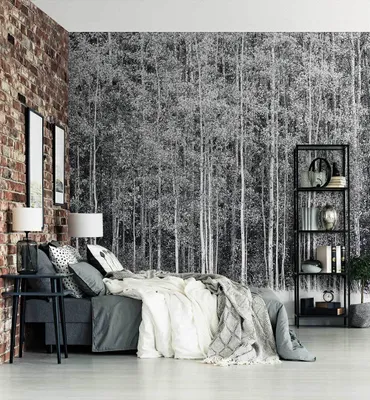 Produktbild von Fototapete Wald in Aspen schwarz weiß, Material:Superior Vlies 350g/qm, Größe Tapete:520 x 300cm