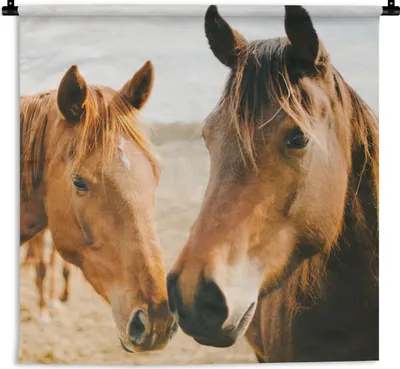 Produktbild von MuchoWow® Wandteppich Wandbehang Pferd - Strand - Tiere 120x120 cm Tapisserie Dekoration Wandtuch - Modern - Baumwollgewebe