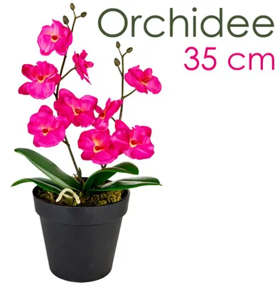 Image de Orchidée Plante en Pot Artificielle Artificiel Rose Fuchsia Vif 35 cm Decovego
