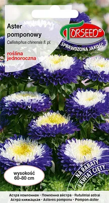 Produktbild von Samen von Aster tall pompon white Torseed