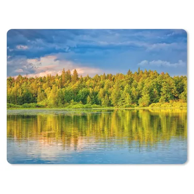 Produktbild von MuchoWow® Mauspad Mousepad Wasser - Natur - Wald 40x30 cm - Mousepads - Maus Mat - Pad - Mausunterlage - Anti Rutsch