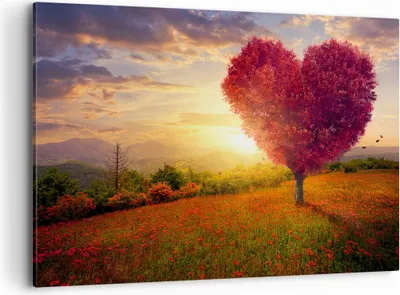 Produktbild von Bild auf Leinwand - Leinwandbild - Baum Wiese Blume - 100x70cm - Wand Bild - Wanddeko - Wandbilder - Leinwanddruck - Bilder - Kunstdruck - Wanddekoration - Leinwand bilder - Wandkunst - AA100x70-3790