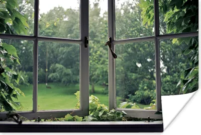 Produktbild von MuchoWow® Poster Überwuchertes altes Fenster 120x80 cm - Bilder