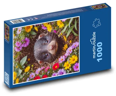 Obrázek produktu pro martinpuzzle - Puzzle 1000 - Krtek