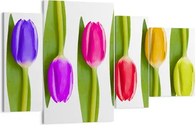 Produktbild von Bild auf Leinwand - Leinwandbild - Tulpe Blume Garten Komposition - 120x70cm - Wand Bild - Wanddeko - Leinwanddruck - Bilder - Kunstdruck - Wanddekoration - Leinwand bilder - Wandkunst - DL120x70-2360
