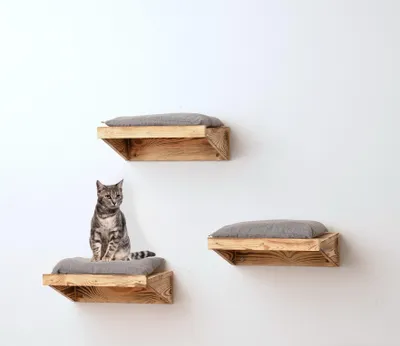 Immagine prodotto di Letto a parete per animali, modello FLAME, per gatti, in legno, da montare a parete
