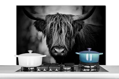 Produktbild von KitchenYeah®  Spritzschutz Küche - Küchenrückwand - Wandschutz für Herd und Spüle - Schottisches Hochlandrind - Licht - Porträt - Natur 100x65 - Alu-Dibond (Alternative zum Spritzschutz aus Glas) - Hi